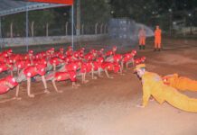Sexta turma do Projeto Bombeiro Mirim é formada em Gurupi