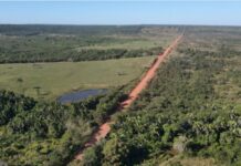Governo do Tocantins autoriza recuperação das rodovias estaduais TO-210 e TO-415, importantes no Bico do Papagaio