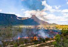 Tocantins utiliza técnicas de queima controlada para prevenir queimadas irregulares e incêndios florestais