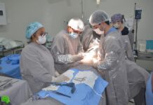 Captação de múltiplos órgãos é feita no HGP e beneficiará quatro pacientes