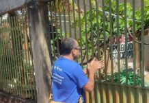 Em Gurupi, Secretaria de Saúde alerta para os cuidados com escorpiões que podem surgir nesta época do ano