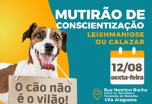 CCZ de Gurupi realiza mutirão de combate ao calazar no setor Vila Alagoana nesta sexta-feira