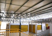 Prefeitura de Gurupi inicia retirada de pombos na Feira Coberta e no Mercado Municipal