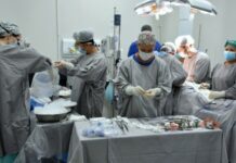 Campanha Setembro Verde alerta população sobre importância da doação de órgãos