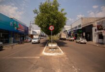 Gurupi mantém crescimento e gera mais de 300 novos empregos formais em agosto