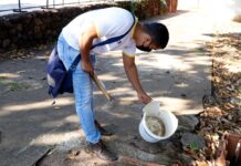 Prefeitura de Gurupi realiza mutirão de combate à dengue no setor Vale do Sol