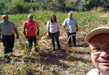 Professor da UnirG desenvolve projeto de Marketing Estratégico para produtores de mandioca do Assentamento Micro Jandira