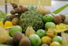 Frutos do cerrado poderão ser introduzidos na merenda escolar do Tocantins