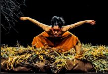 Espetáculo gratuito de dança contemporânea é atração do final de semana na Capital