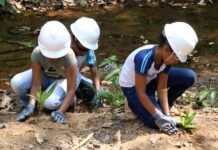 Prefeitura de Gurupi celebra Dia da Árvore com plantio de mudas nativas na nascente do córrego Mutuca