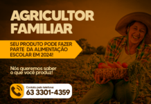 Gurupi mapeia agricultores familiares para enriquecer a merenda escolar em 2024