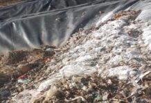 Em 2023, BRK retirou mais de duas mil toneladas de lixo da rede de esgoto em Palmas, Araguaína e Gurupi