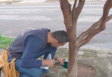 Prefeitura de Gurupi intensifica orientações de combate à dengue