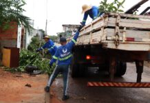 Prefeitura de Gurupi inicia mutirão de limpeza no setor Madrid em parceria com os moradores