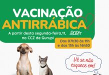 Campanha de vacinação antirrábica tem início nesta segunda-feira, 11 em Gurupi