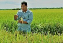 Formosense Daniel de Brito Fragoso assume cadeira na Academia Tocantinense do Agronegócio em destaque para pesquisa agropecuária