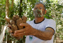 Prefeitura de Gurupi adere a sistema do Governo Federal para aquisição de alimentos da agricultura familiar