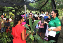 Educação ambiental tem atenção especial nas escolas municipais de Tocantínia