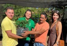 Parceria entre Prefeitura de Gurupi e empresa incubada da UnirG beneficia agricultores familiares com mudas de mandioca