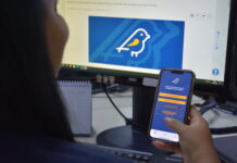 Aplicativo Pardal 2024 receberá denúncias de propaganda eleitoral irregular na internet, informa TRE-TO