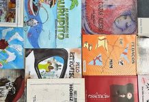 Projeto Sarau: Literatura Tocantinense na Feira valoriza escritores locais e circula em feiras populares com apoio do Programa Rouanet Norte