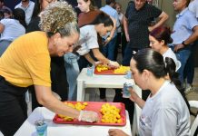 Gurupi 67 anos: Festival do Pequi celebra cultura e tradição